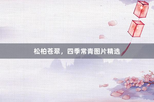 松柏苍翠，四季常青图片精选